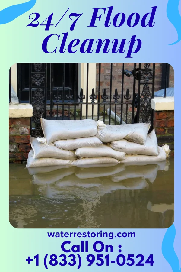 24/7 Flood Cleanup in Lake Forest Park, WA
